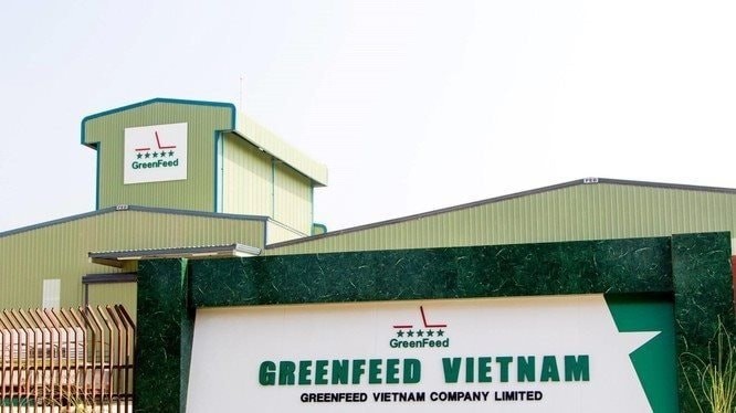 green-feed-1777859536.jpeg