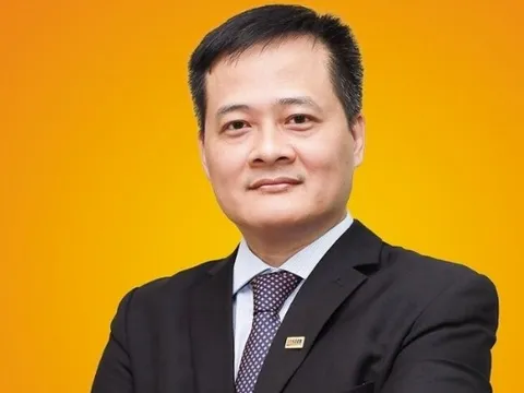 “Ghế nóng” SHB dậy sóng: bổ nhiệm ông Đinh Ngọc Dũng làm Phó Tổng Giám đốc mới