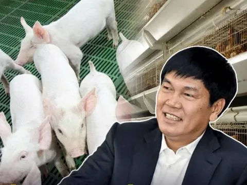 Công ty thức ăn chăn nuôi của Hòa Phát bất ngờ vào “tầm ngắm” thanh tra, ngay trước thềm IPO nghìn tỷ