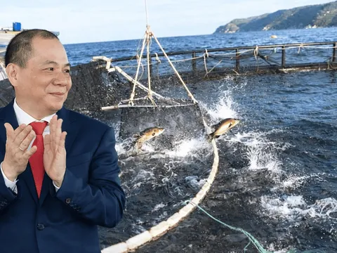 Vingroup triển khai mô hình nuôi biển công nghệ cao tại Khánh Hòa