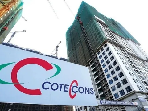 Coteccons vẫn “kẹt” hơn 520 tỷ đồng nợ xấu liên quan Tân Hoàng Minh - khả năng thu hồi khá mờ mịt