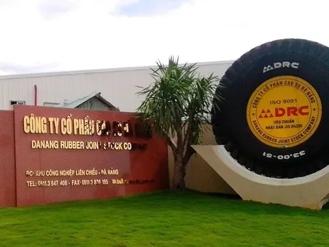 Chưa kịp ổn định, lãnh đạo cấp cao Cao su Đà Nẵng (DRC) xin nghỉ vì “không chịu nổi áp lực”