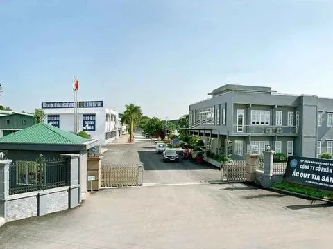 Dính đòn thuế hơn 1 tỷ, công ty con Hóa chất Đức Giang thêm biến giữa tâm bão lãnh đạo