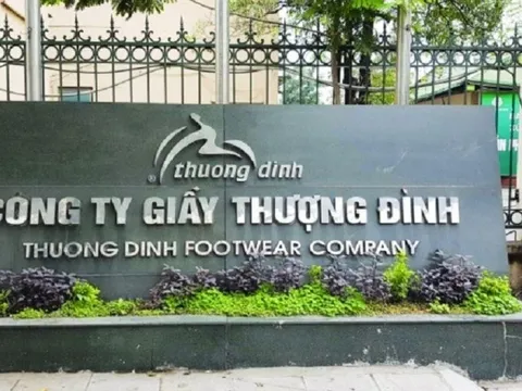 Sau đổi chủ, Giầy Thượng Đình bắt tay Vinaconex đánh cược dự án khủng