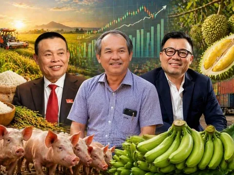 Lợi nhuận bùng nổ, thu nhập lãnh đạo nông nghiệp tăng vọt